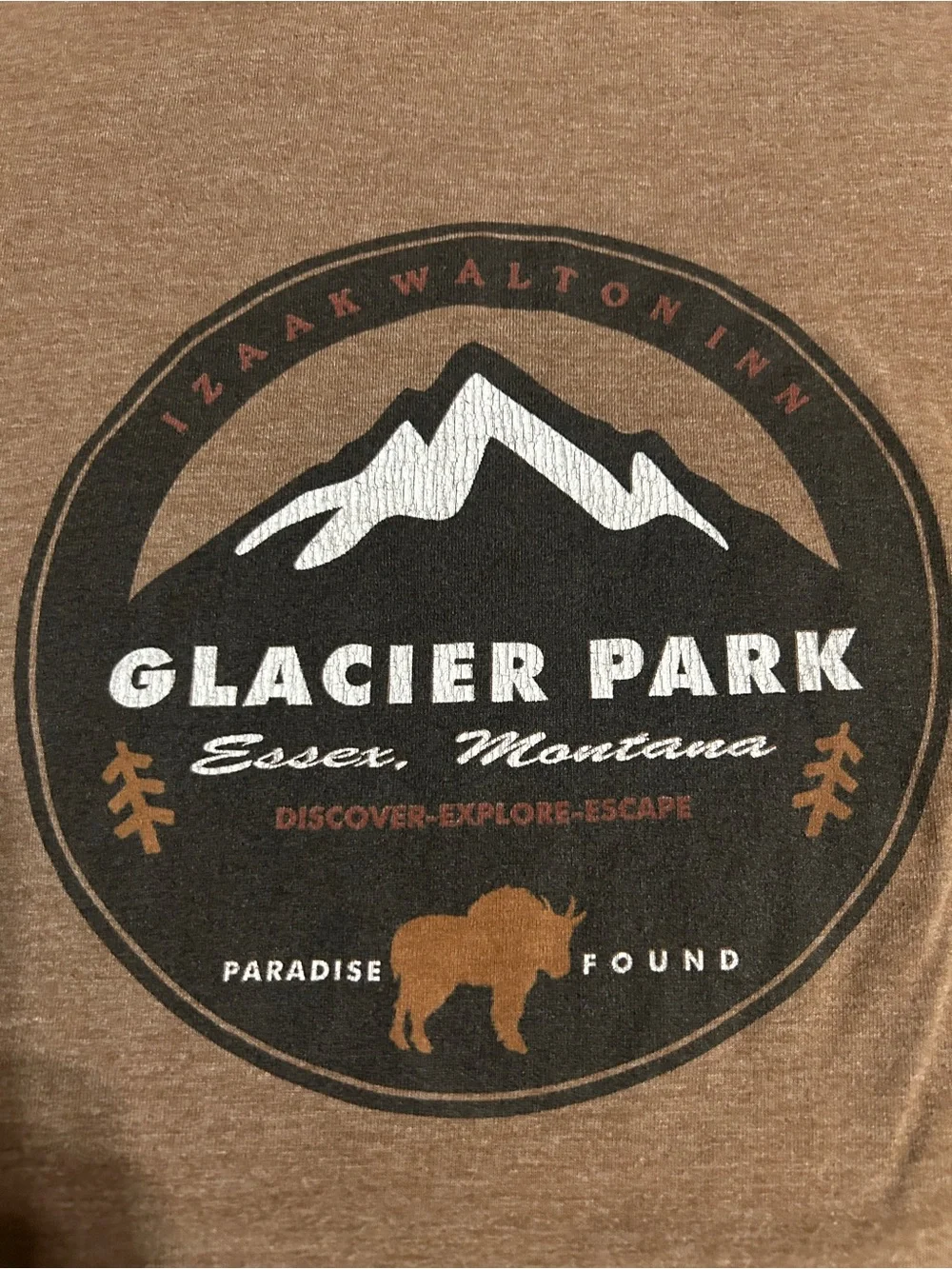 Glacier Park Men's Brown Graphic Tee - Picture 2 of 3